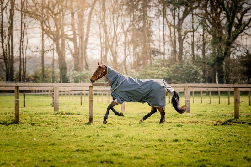 Amigo Pony Bravo 12 Plus 0g Turnout Lite Shadow/Navy & Rose