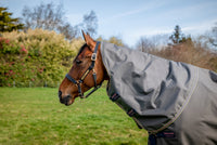 Amigo Pony Bravo 12 Plus 0g Turnout Lite Shadow/Navy & Rose