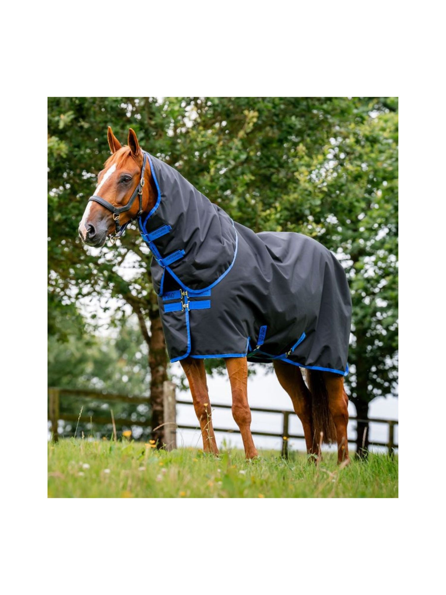 Amigo Ripstop 900D Plus Turnout 100g Black/Classic Blue