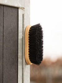 Dandy Borste Magnet