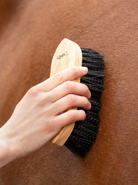 Dandy Borste Magnet