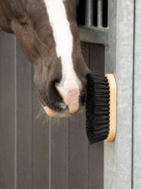 Dandy Borste Magnet