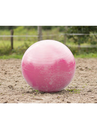 Fotboll Hästleksak Rosa