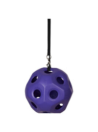 Slow Feed Hay Ball Purple