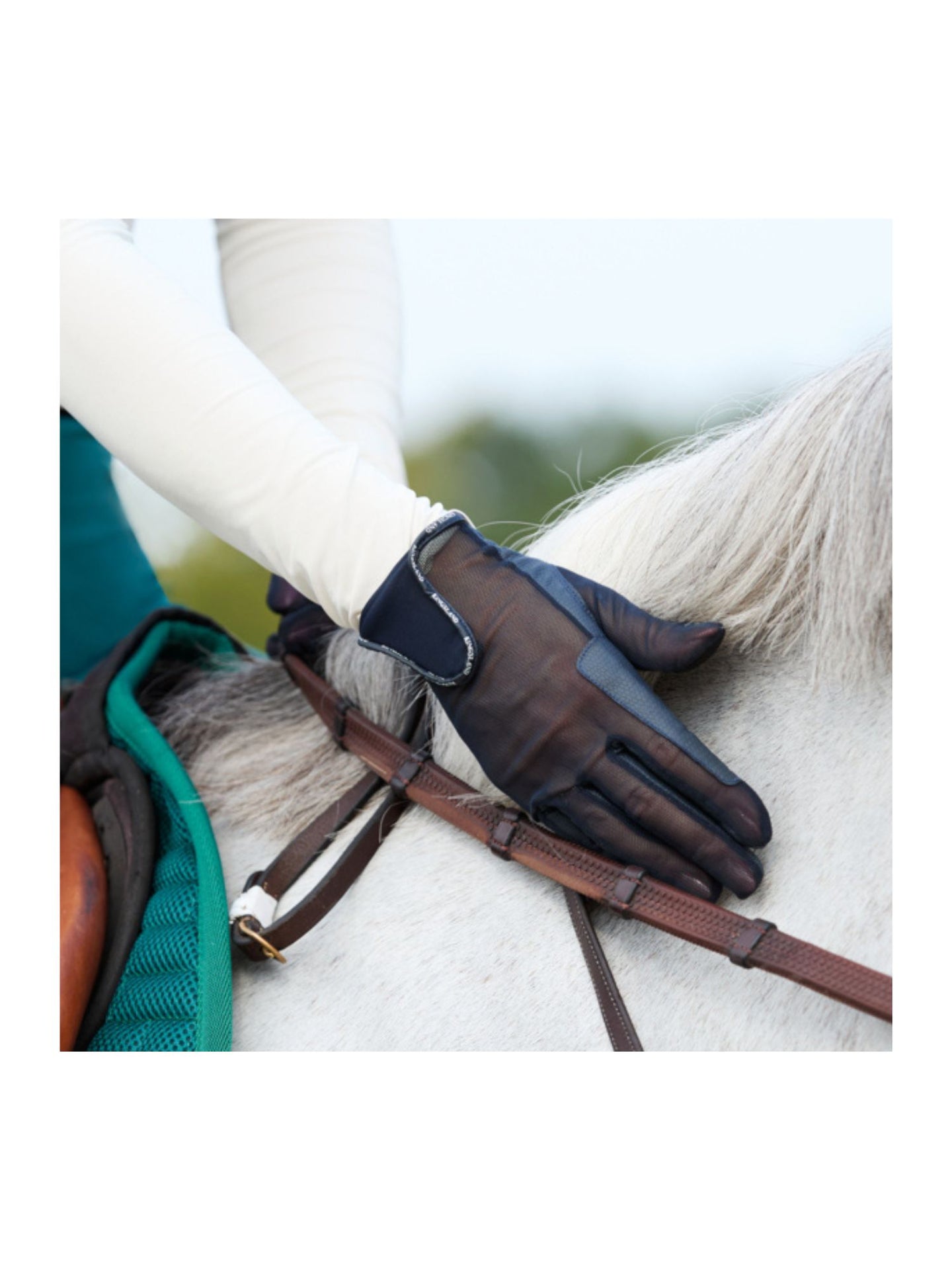 KLNoe Summer Riding Glove Navy