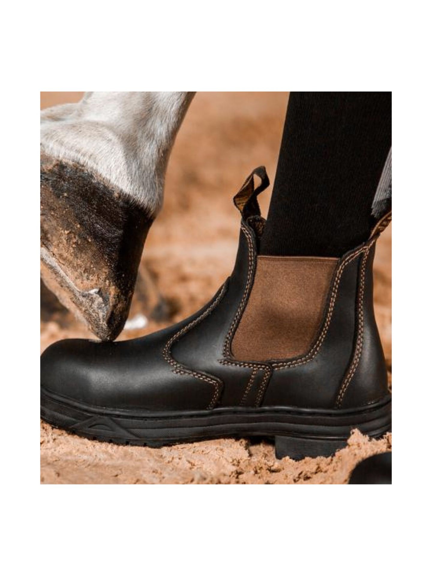 Ridsko Protective Junior Jodphur Med Stålhätta Brun