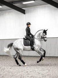 Suede Dressage Square Schabrak Black