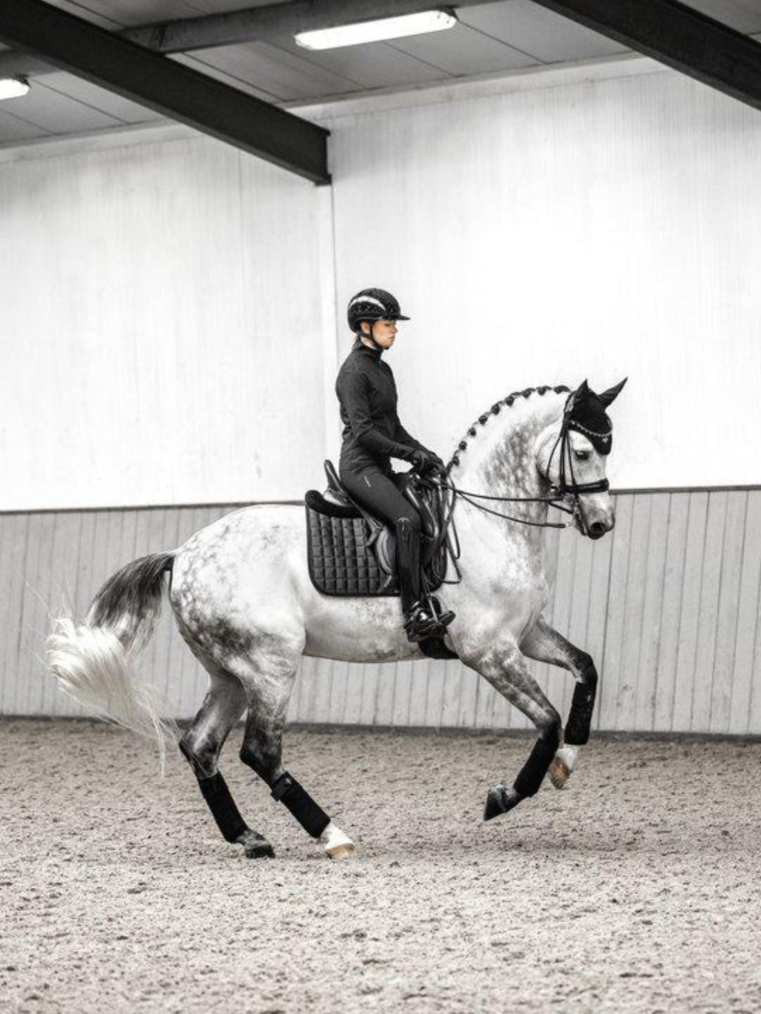Suede Dressage Square Schabrak Black