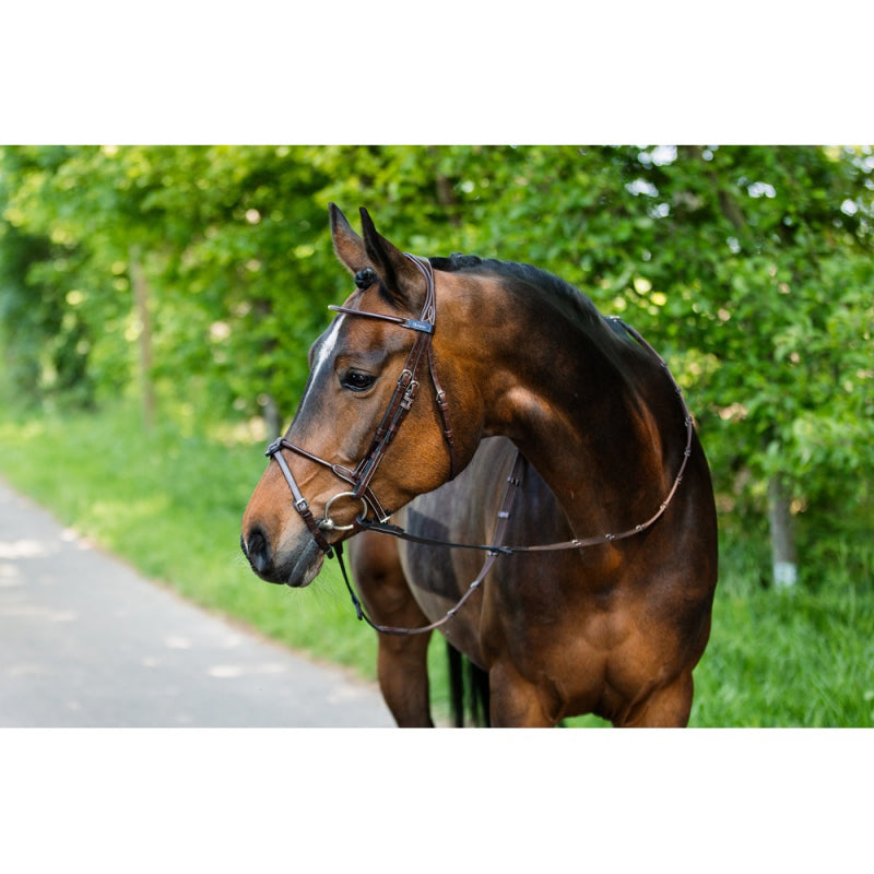 Elite Thin Round Noseband Bridle Havanna