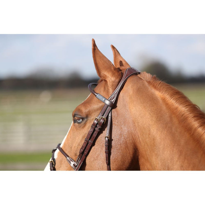 Elite Thin Round Noseband Bridle Havanna