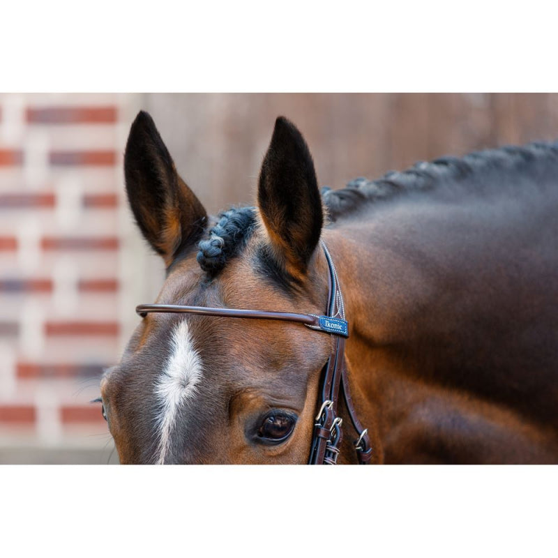 Elite Thin Round Noseband Bridle Havanna