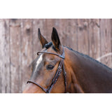 Elite Thin Round Noseband Bridle Havanna