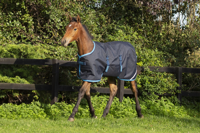 Amigo Foal Rug 200g Ripstop Navy Electric Blue