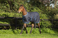 Amigo Foal Rug 200g Ripstop Navy Electric Blue