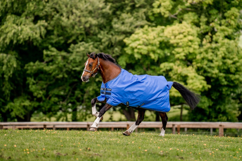 Amigo Hero Ripstop Pony Turnout Lite 0g Blue/Navy&Grey