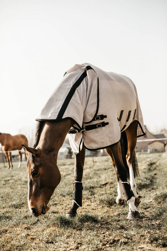 Mesh Fly Rug Beige