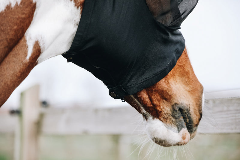 Fly Mask Slim Fit