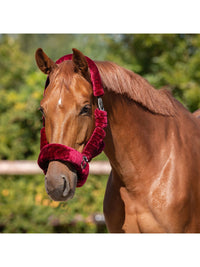 Grimma Alaska Burgundy/Black