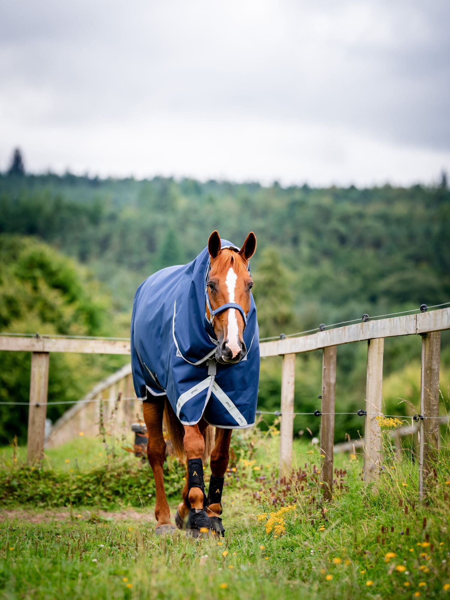 Regntäcke Amigo 1200D Plus Turnout 0g Navy