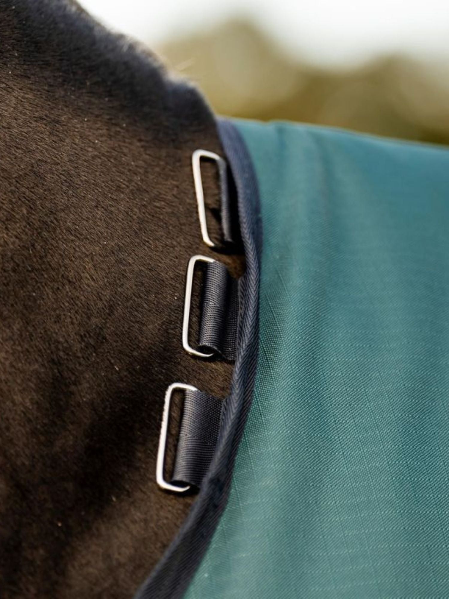 Regntäcke Amigo Ripstop 900D Pony Turnout Dynasty Green/Navy & Silver