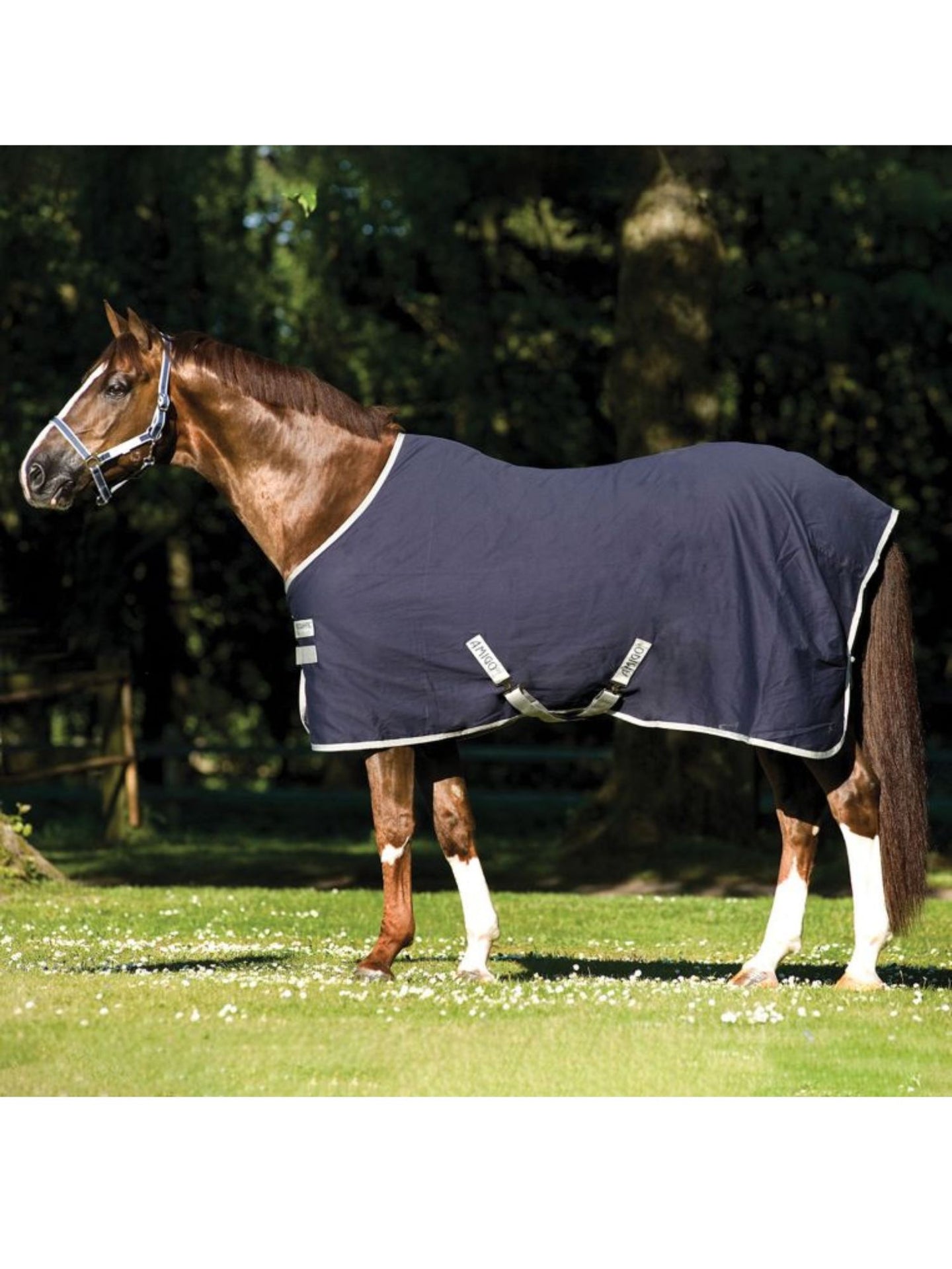 Amigo Stable Sheet X Sur Poly Navy