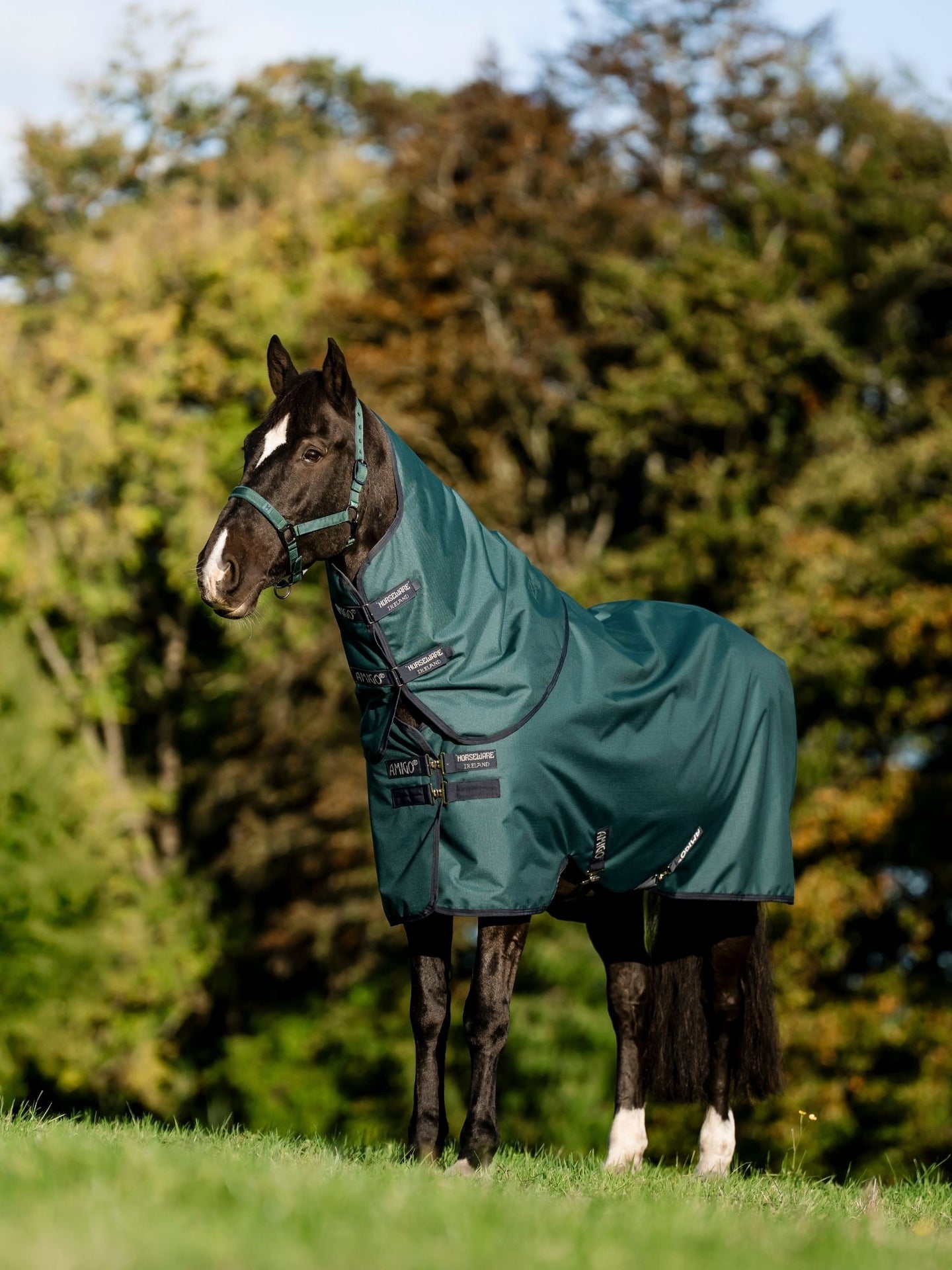 Utetäcke Amigo Ripstop 900D Plus Pony 100g Turnout Dynasty Green/ Navy & Silver