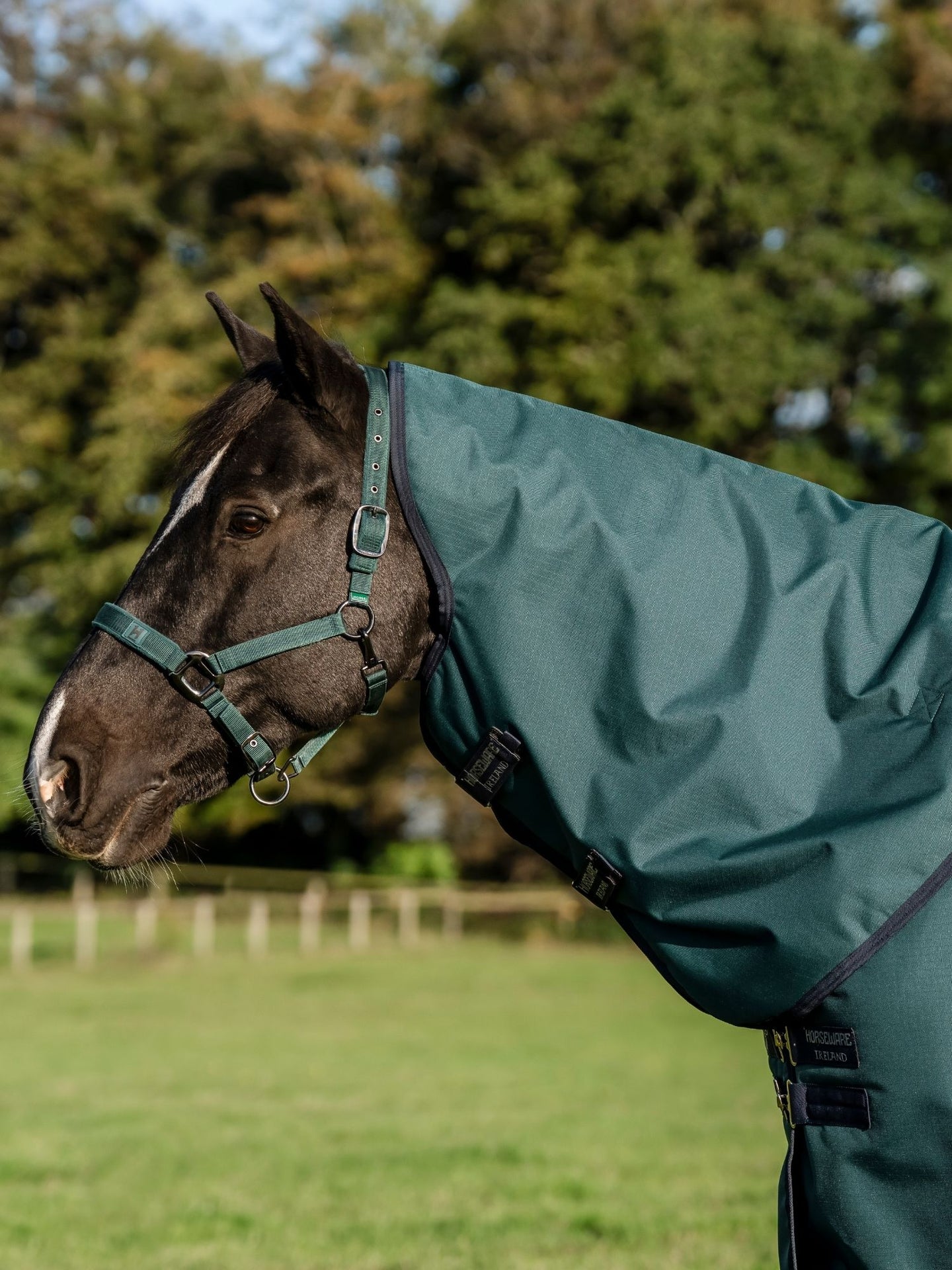 Utetäcke Amigo Ripstop 900D Plus Turnout 200g