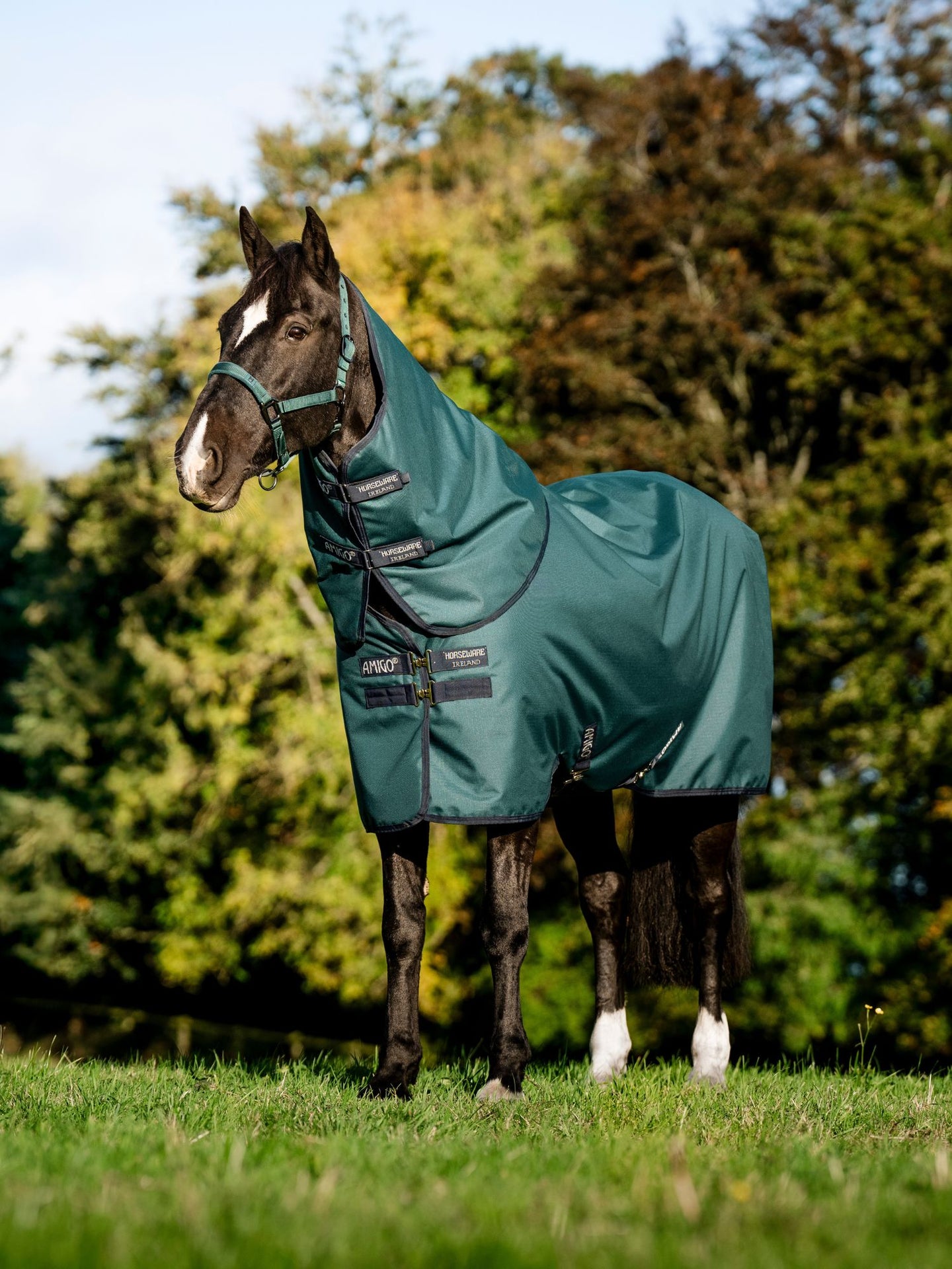 Amigo Ripstop 900D Plus Turnout 100g Dynasty Green/ Navy & Silver