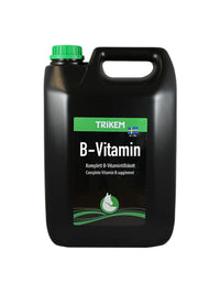 B-Vitamin 5000ml