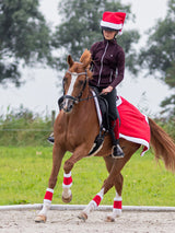 Christmas Bandage Red