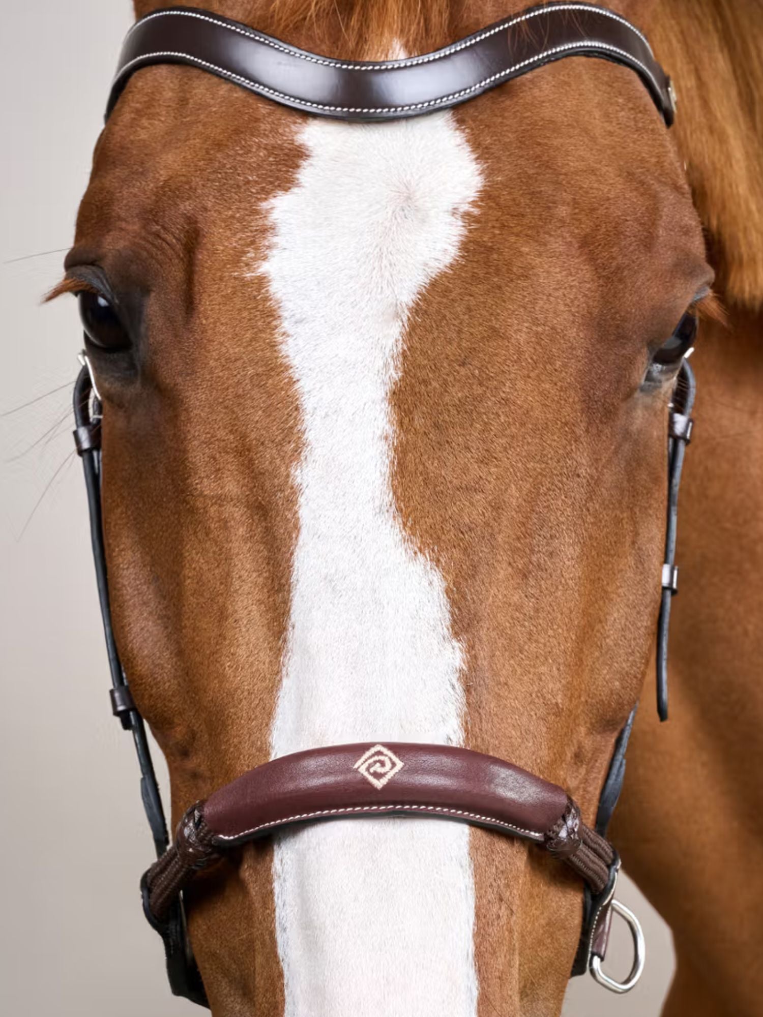 Bettlöst Träns Working Collection Brun