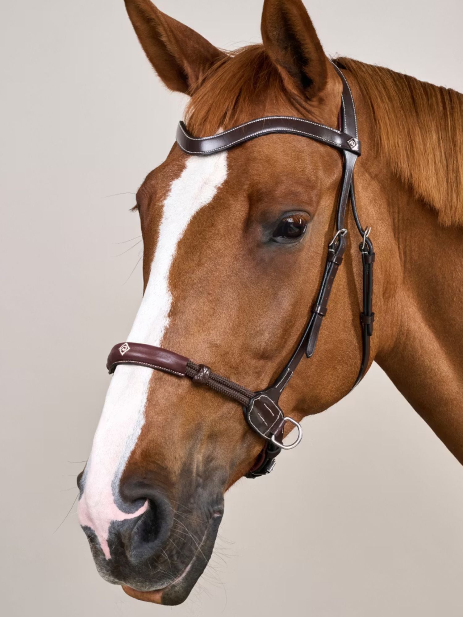 Bettlöst Träns Working Collection Brun