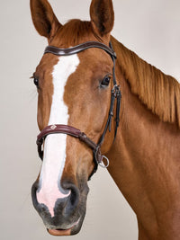 Bettlöst Träns Working Collection Brun