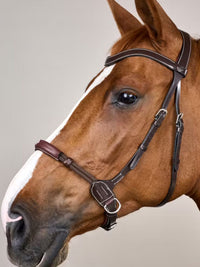 Bettlöst Träns Working Collection Brun