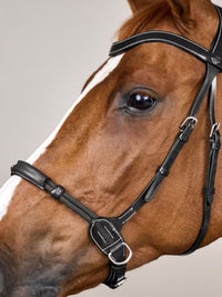 Bettlöst Träns Working Collection Svart