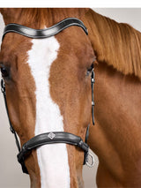 Bettlöst Träns Working Collection Svart