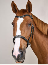 Bettlöst Träns Working Collection Svart