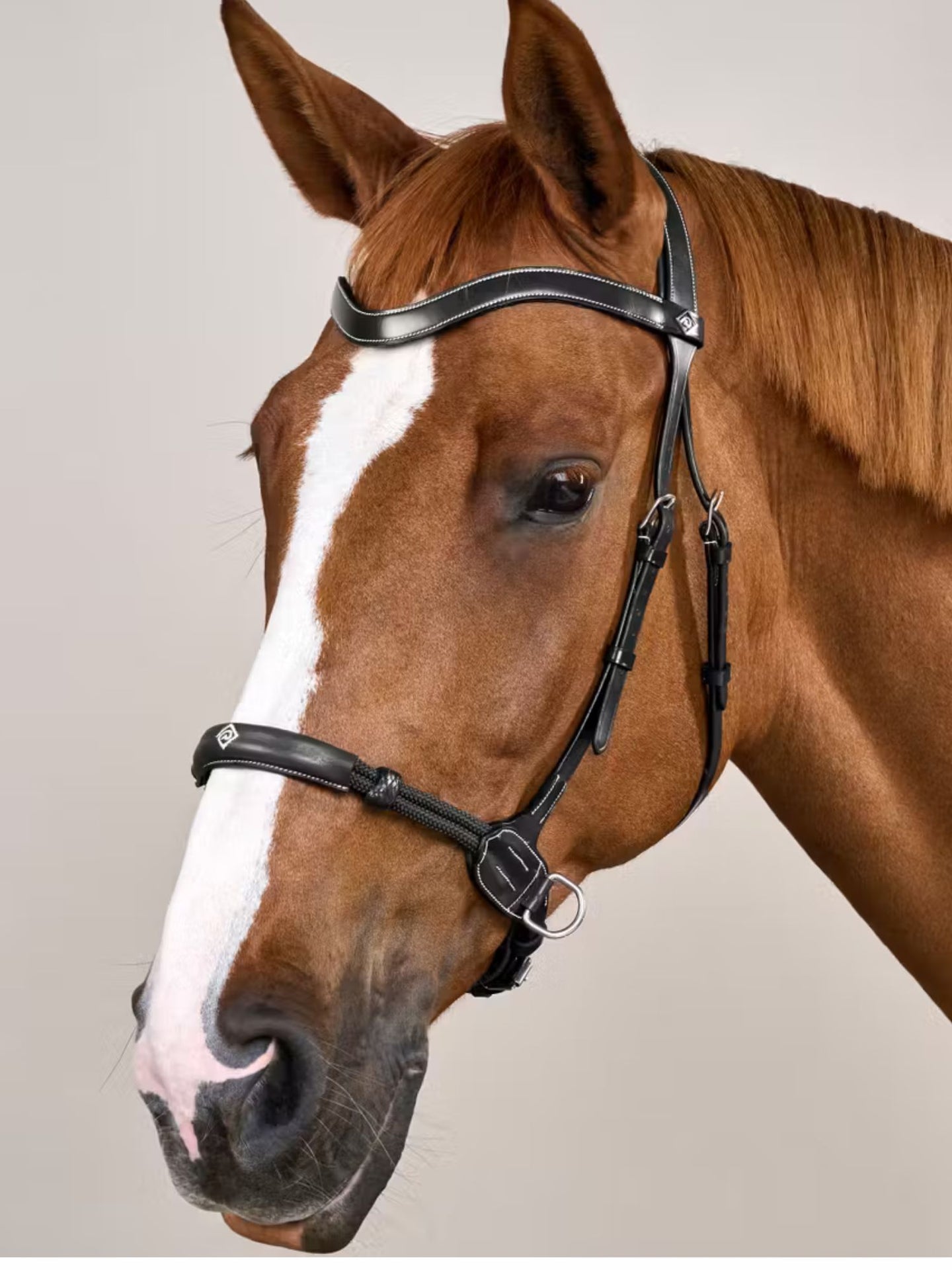 Bettlöst Träns Working Collection Svart