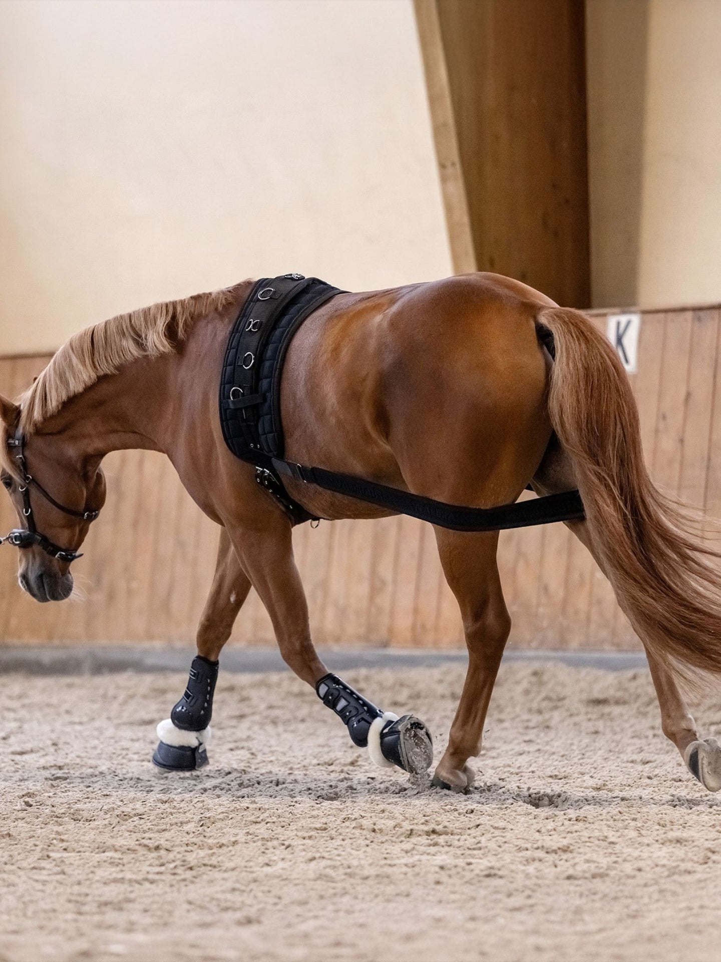 Body Bandage Aktivering Av Bakdel Svart