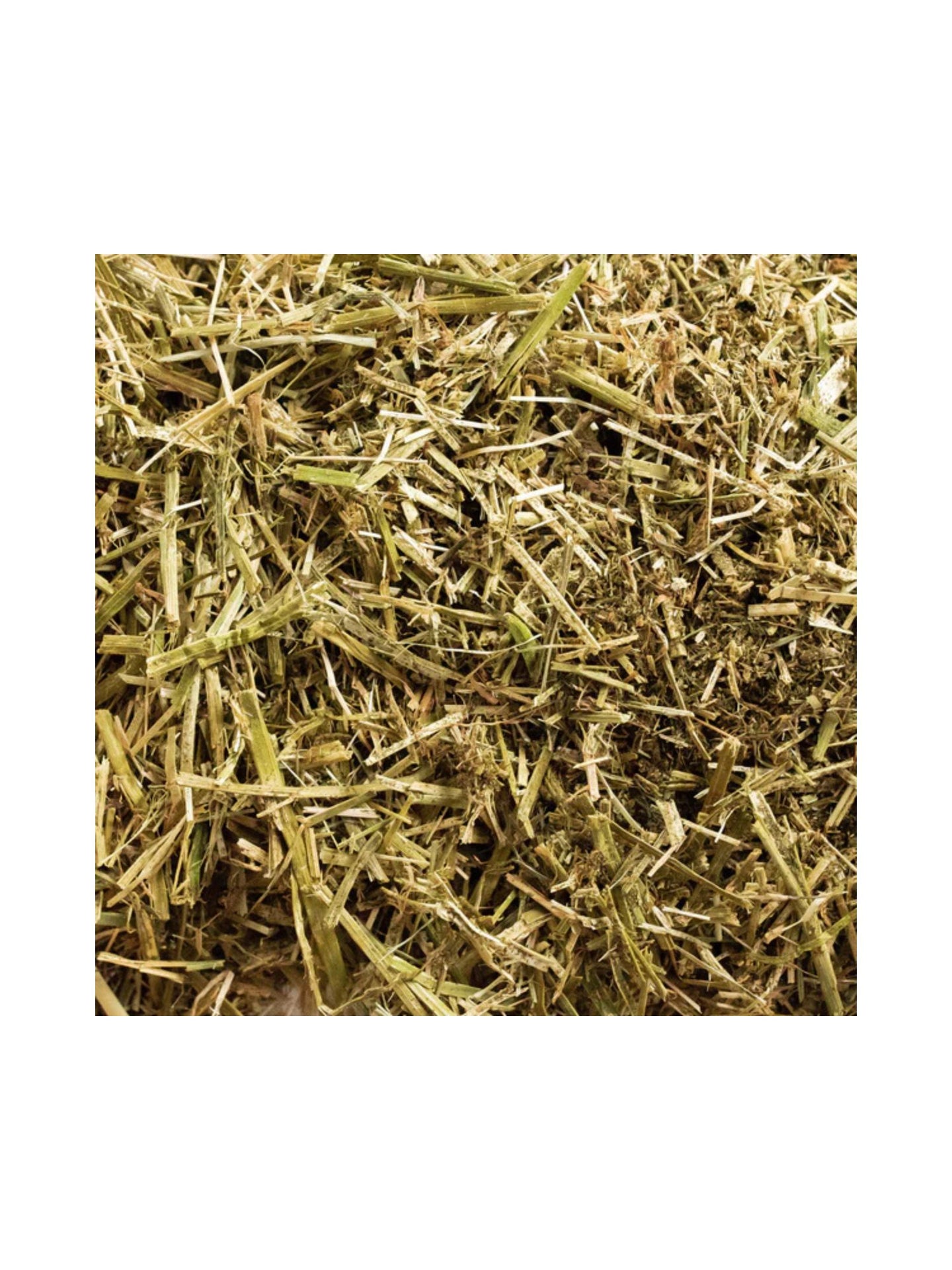 Lucerne 18kg