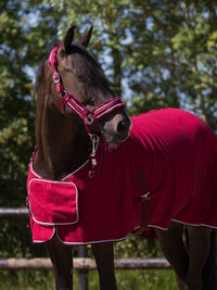 Grimma & Grimskaft Dolci Burgundy/Silver