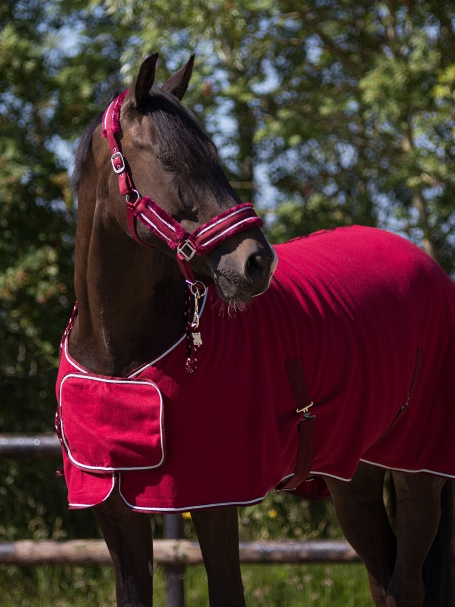 Grimma & Grimskaft Dolci Burgundy/Silver