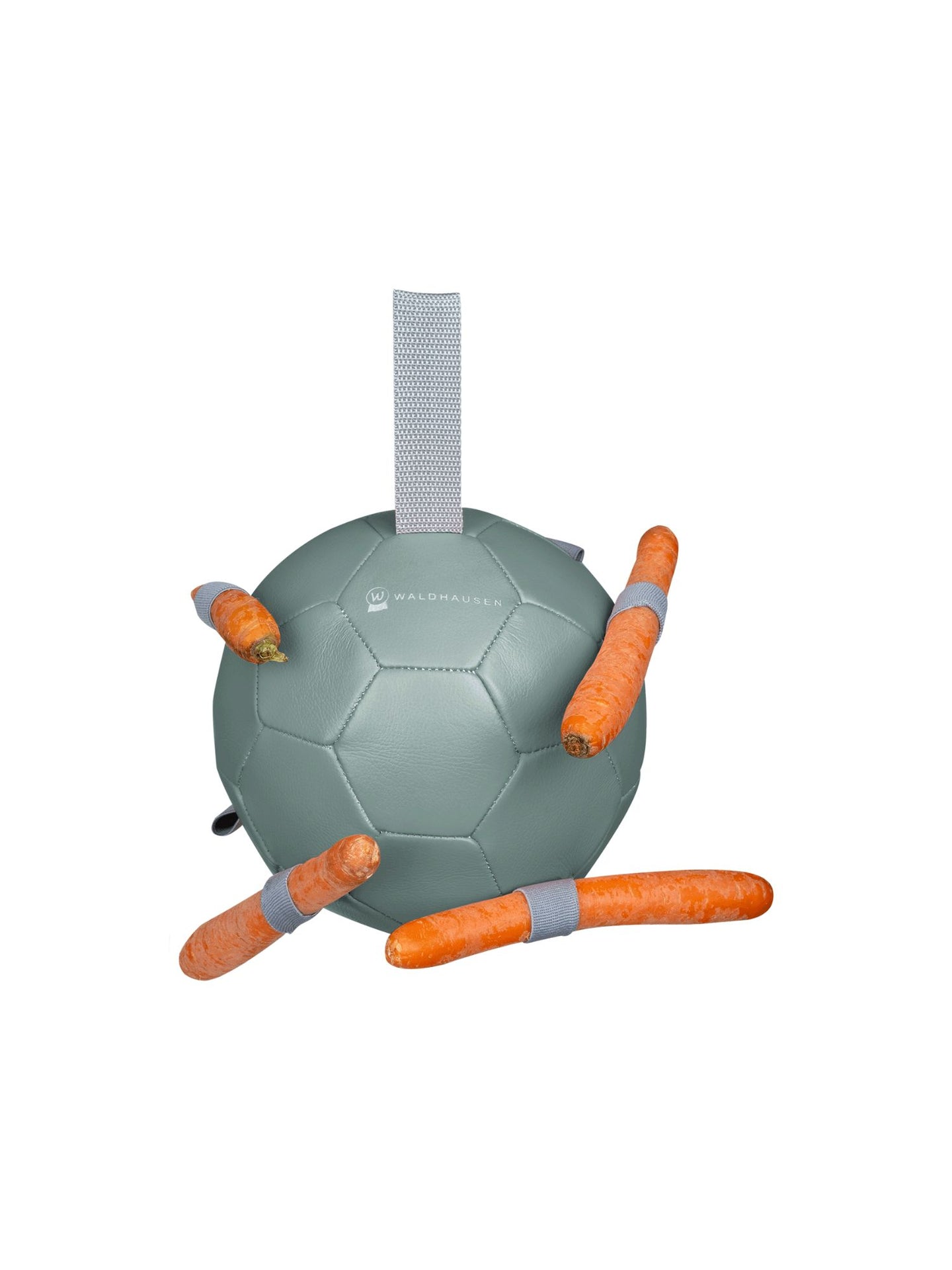 Carrotball Mistel