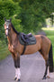 Cheltenham Hoppschabrak Pine Groove