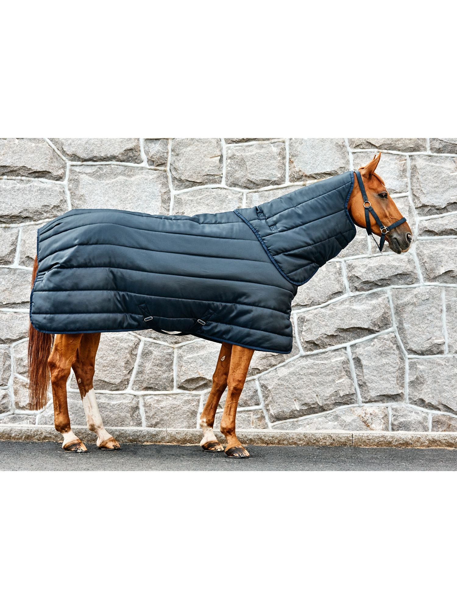 Classic Primary Stalltäcke Med Hals 300g Navy