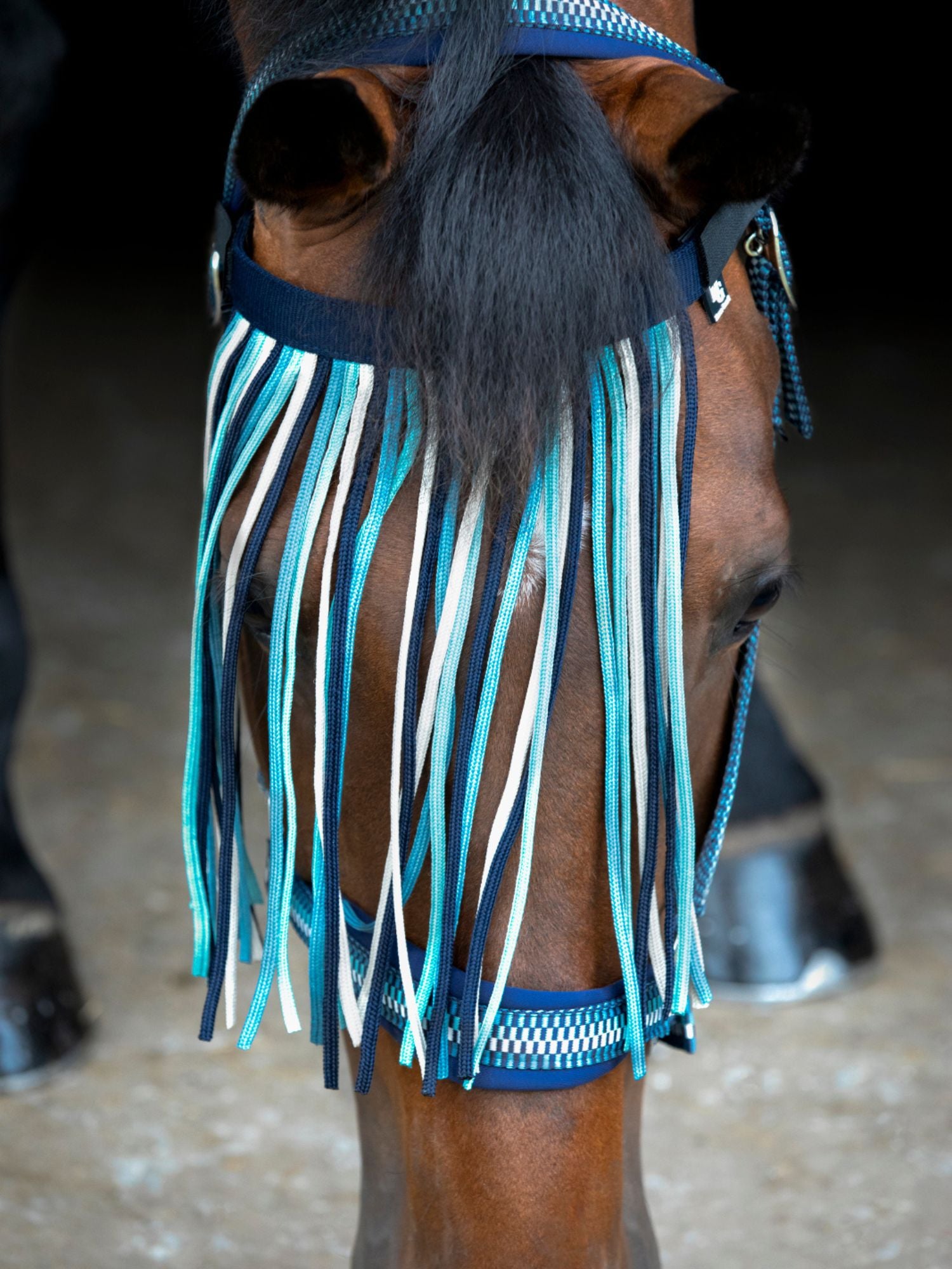 Flugpannband Cole Artic