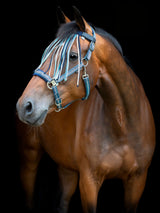 Flugpannband Cole Artic