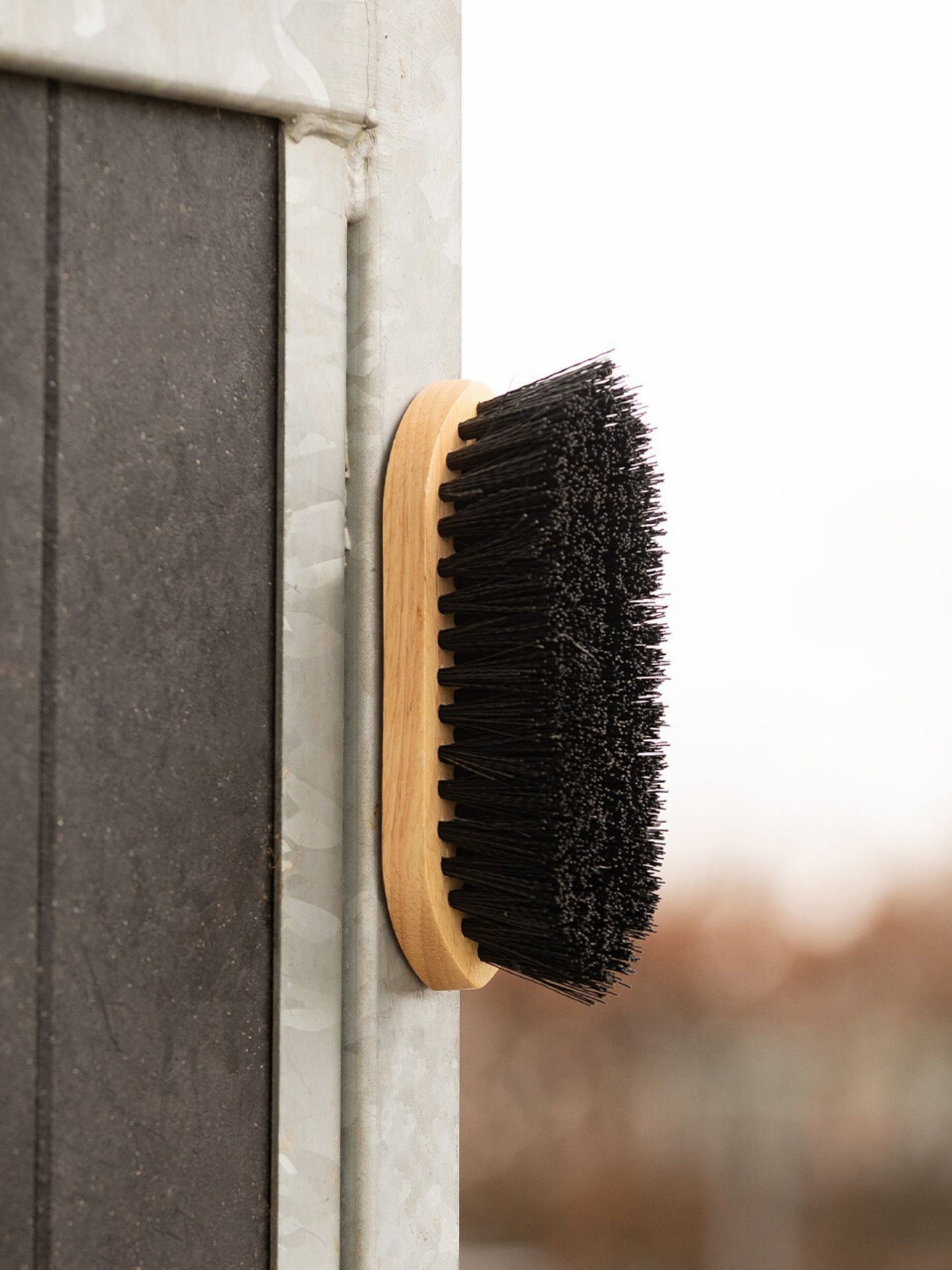 Dandy Borste Magnet