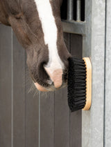 Dandy Borste Magnet