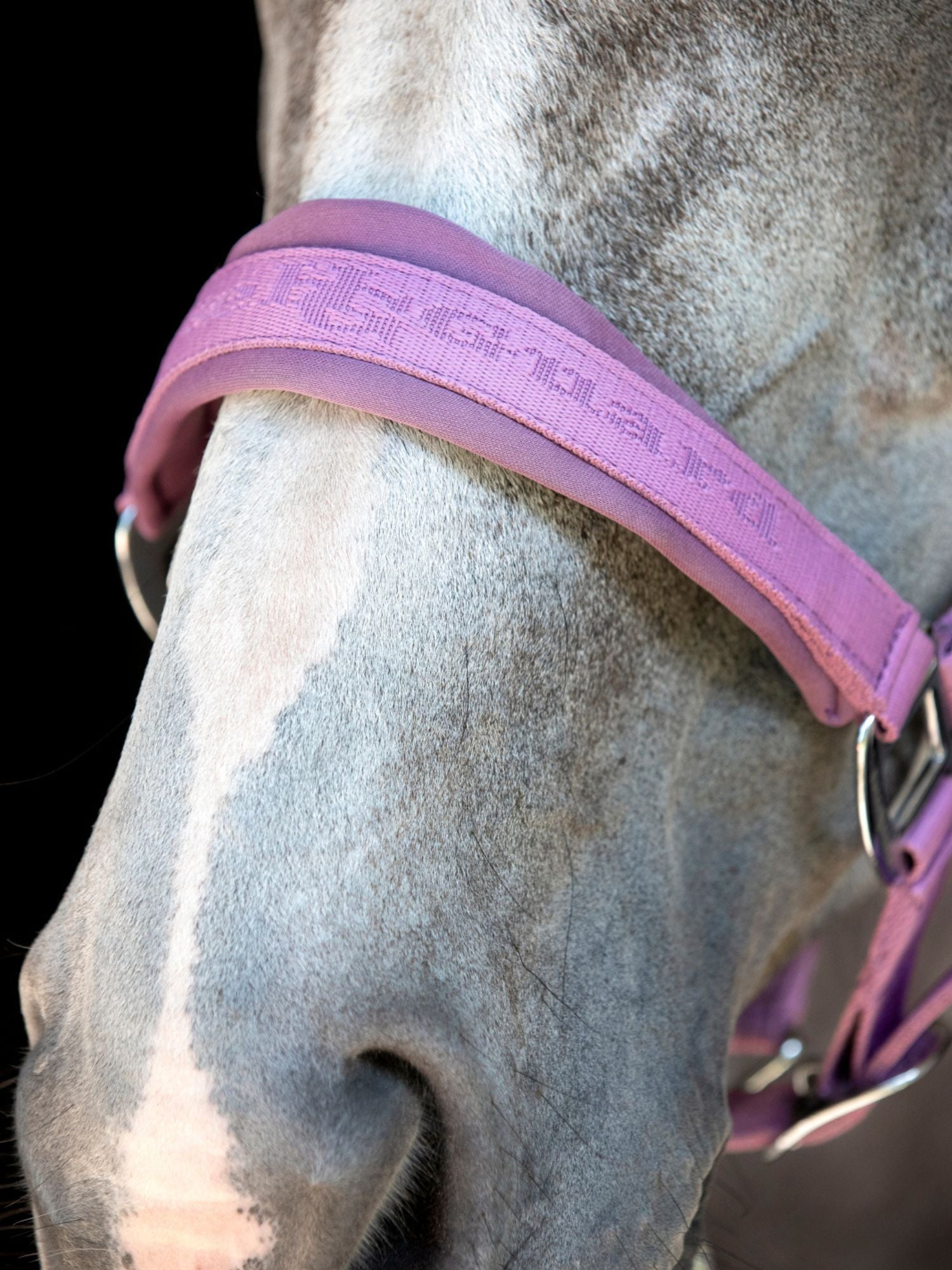 Diya 2.0 Grimma Lavender